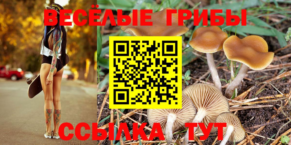 Галлюциногенные грибы ЛСД  как найти закладки  Ялта  Псилоцибиновые грибы мухоморы  Вход с VPN 